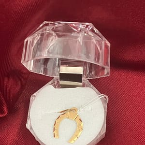 DIJE HERRADURA DE ORO - 18 K