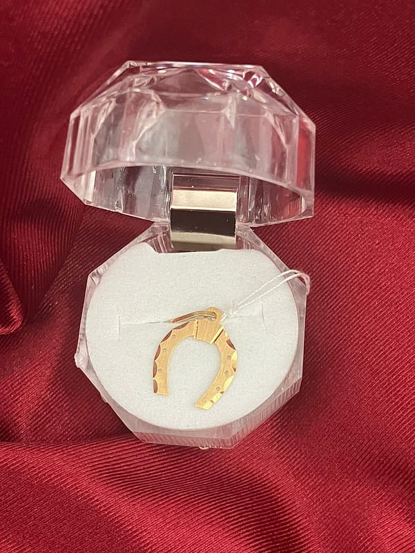 DIJE HERRADURA DE ORO - 18 K